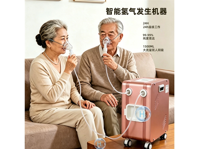 氢气发生器