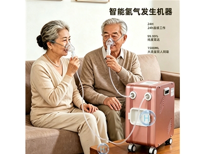 氢气发生器
